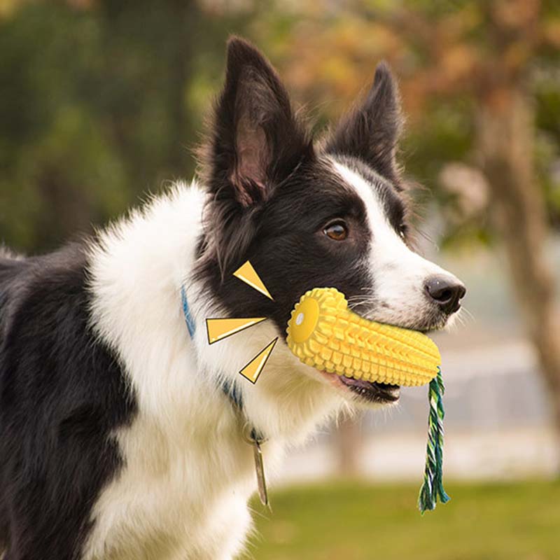 ของเล่นสุนัขรูปข้าวโพดมีเสียงด - Corn Dog Stick บทวิจารณ์และราคา